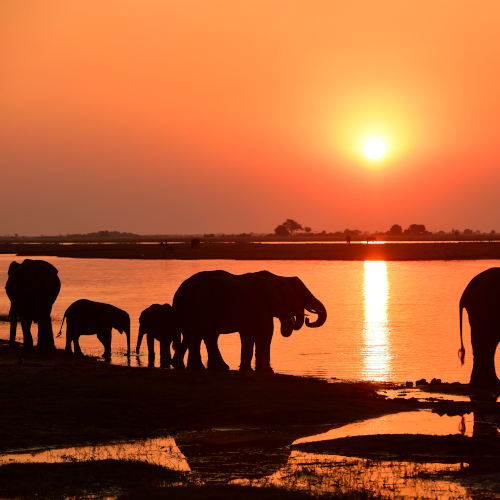 Thomas Sbampato  Namibia und Botswana