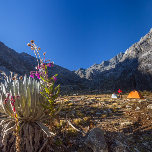 files/KRG2020/img/Verschiedenes/Beyer/beyer - anden - venezuela_camp_im_sierra_nevada_nationalpark 500x500 01.jpg