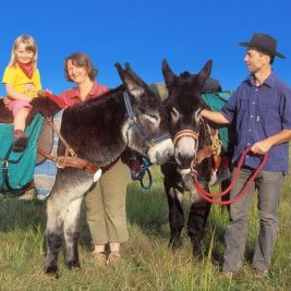 Jakobsweg - Mit Kind und Esel bis ans Ende der Welt